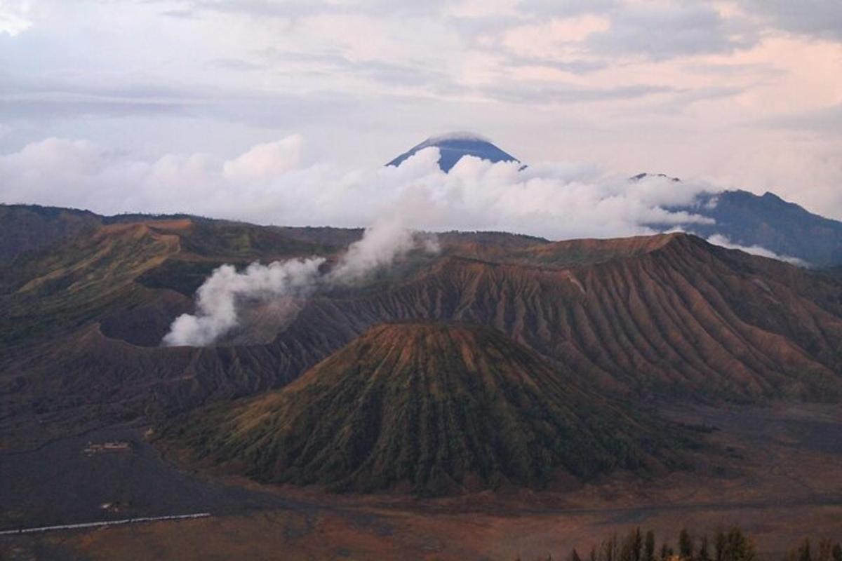 a bird flying over a mountain with smoke