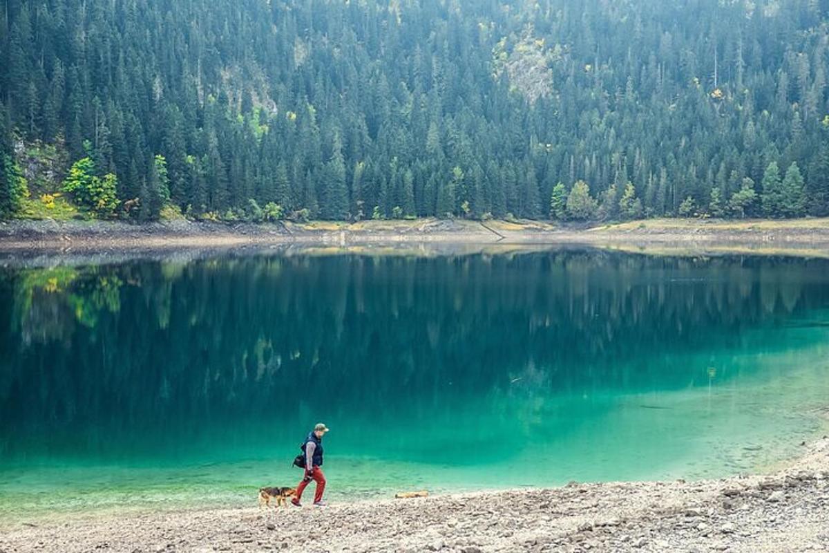 o persoană care plimbă un câine lângă un lac