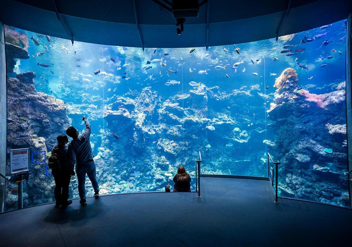 a group of people standing in front of a large aquarium