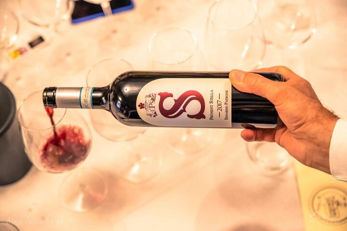 oseba drži steklenico vina