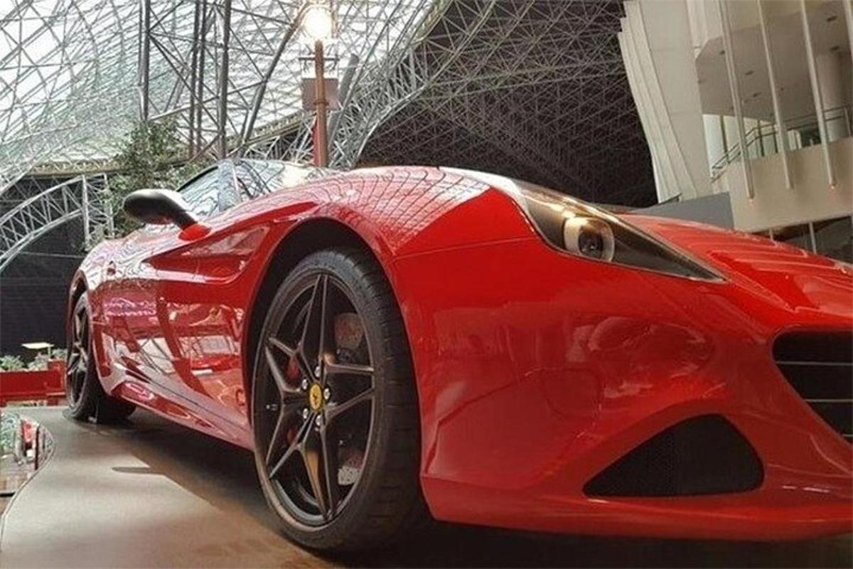 Foto dell’attrazione numero 6