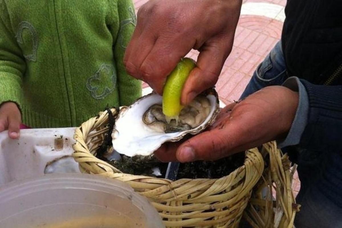 אדם המחזיק צדפה עם מעדר בתוכו