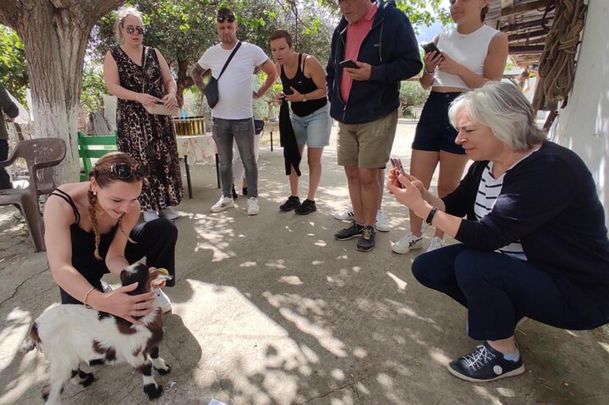 um grupo de pessoas olhando para uma mulher segurando um cachorro
