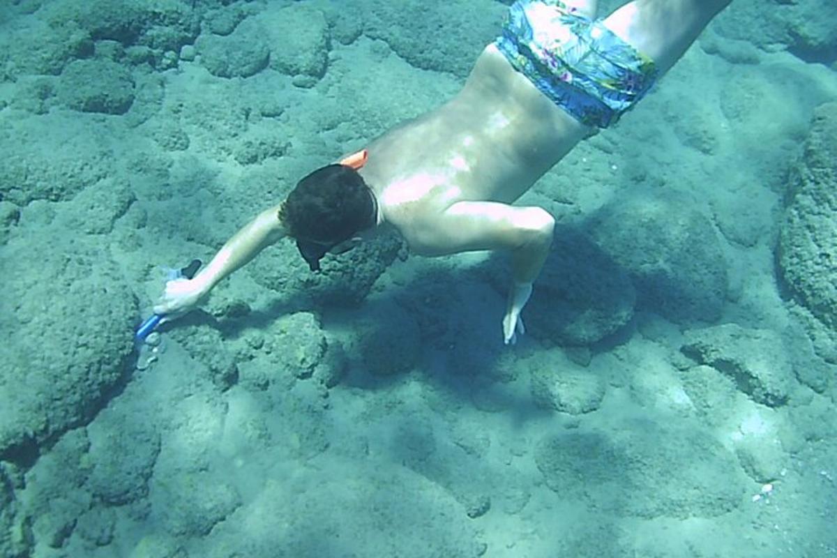 o persoană care înoată în apa oceanului