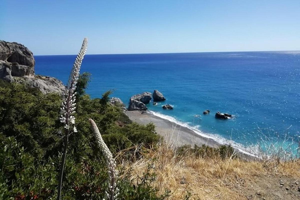 μια θέα μιας παραλίας με βράχια και τον ωκεανό