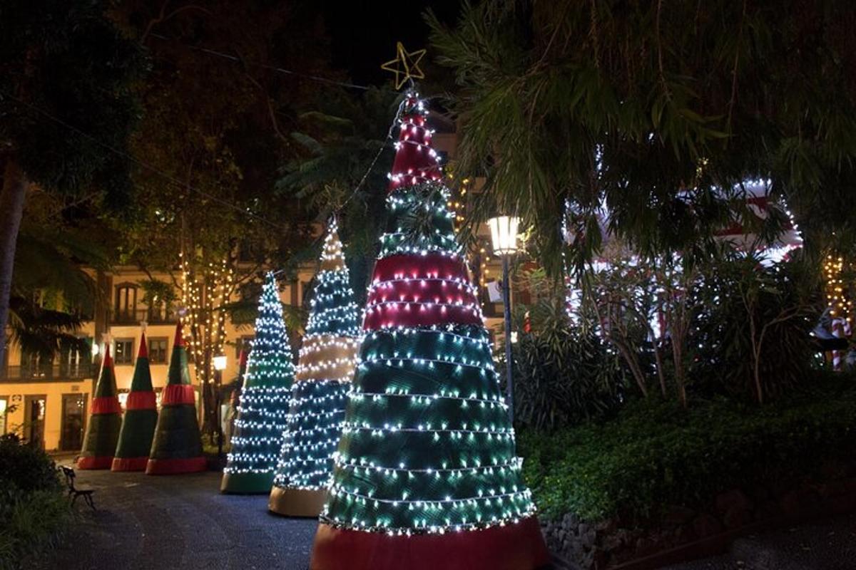 a group of christmas trees in front of a building