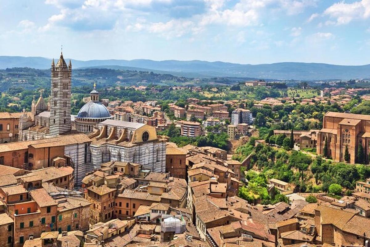 vista aèria d'una ciutat amb edificis