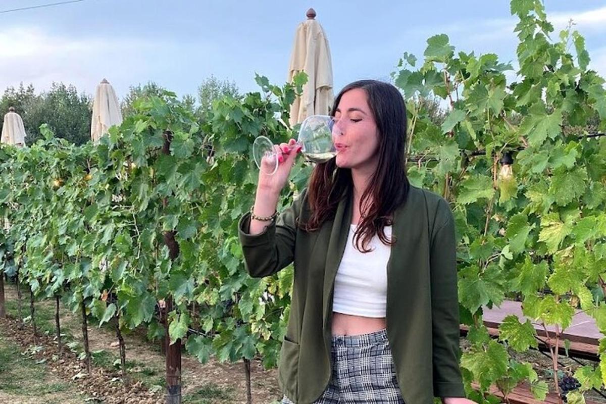 eine Frau trinkt ein Glas Wein in einem Weinberg