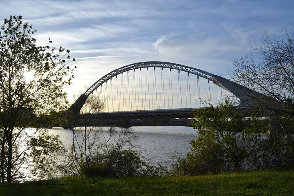 a bridge over the water with birds on it