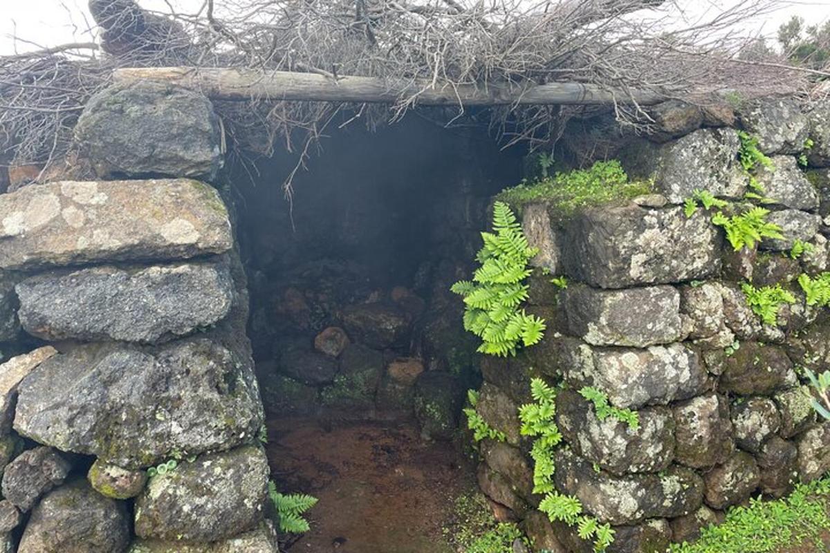 una cova en una paret de pedra amb plantes verdes