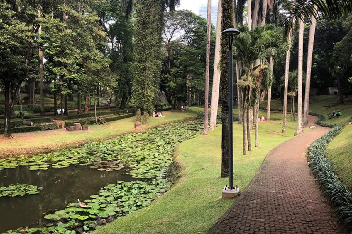 a path in a park next to a pond with lilies