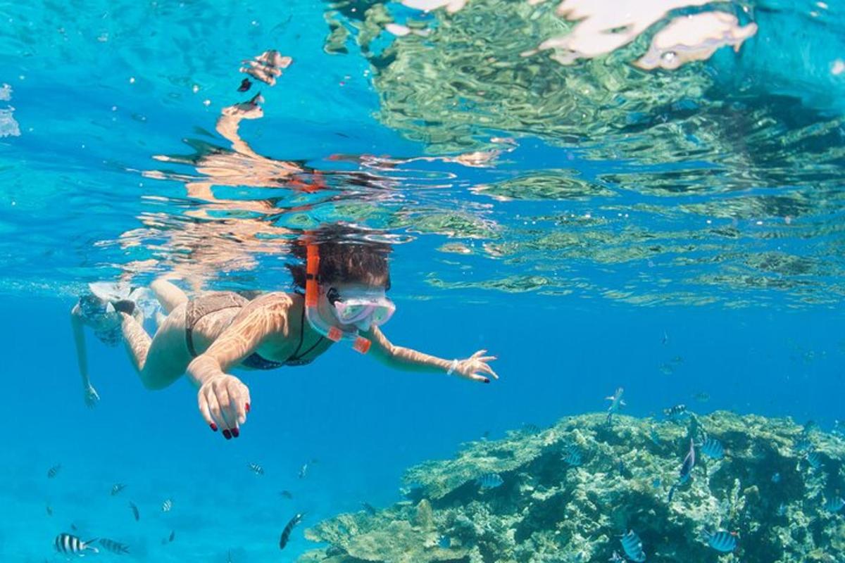 una persona sta nuotando nell'acqua