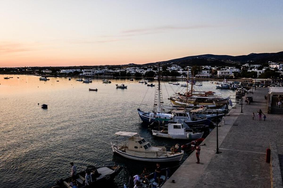 um grupo de barcos está atracado em um porto