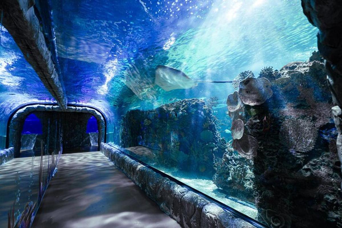 a room with an aquarium with a fish in it