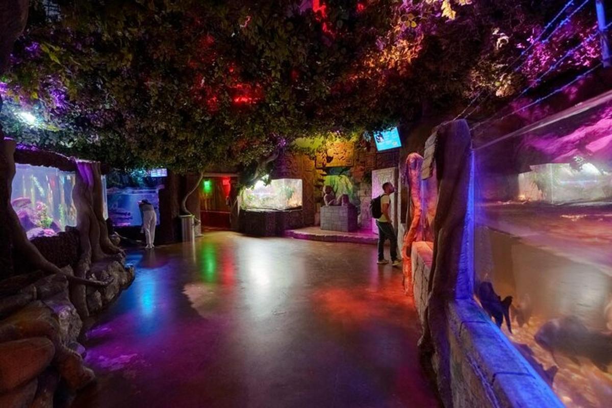 a lit up room with people standing in it at night