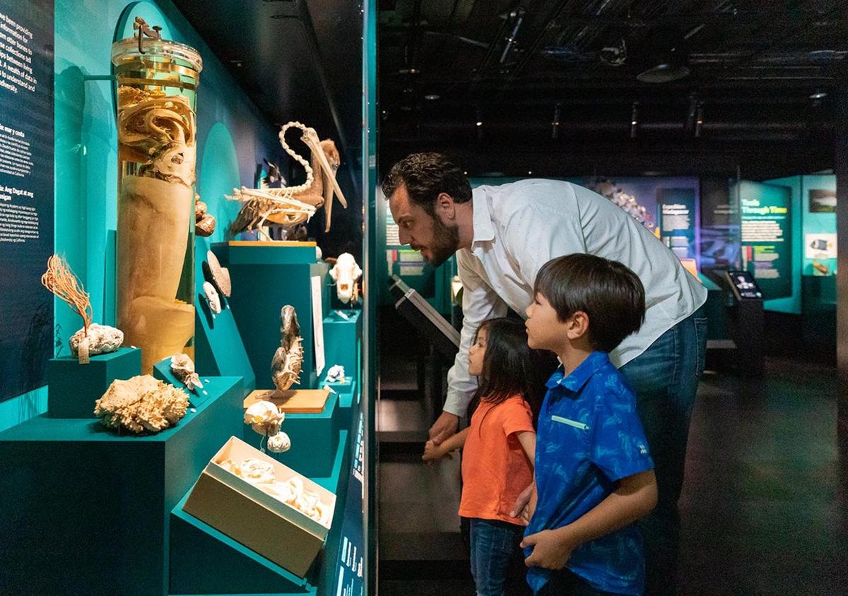 a man and a young child looking at a museum exhibit