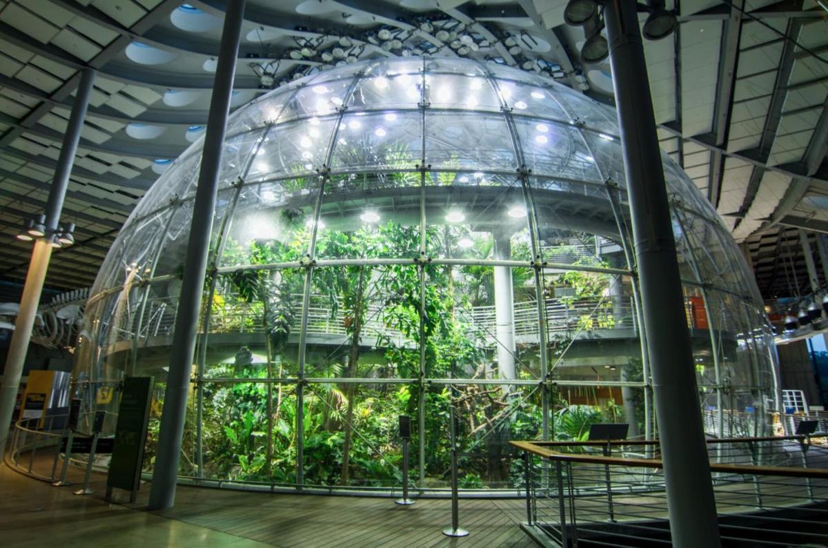 a large glass dome with plants inside of it