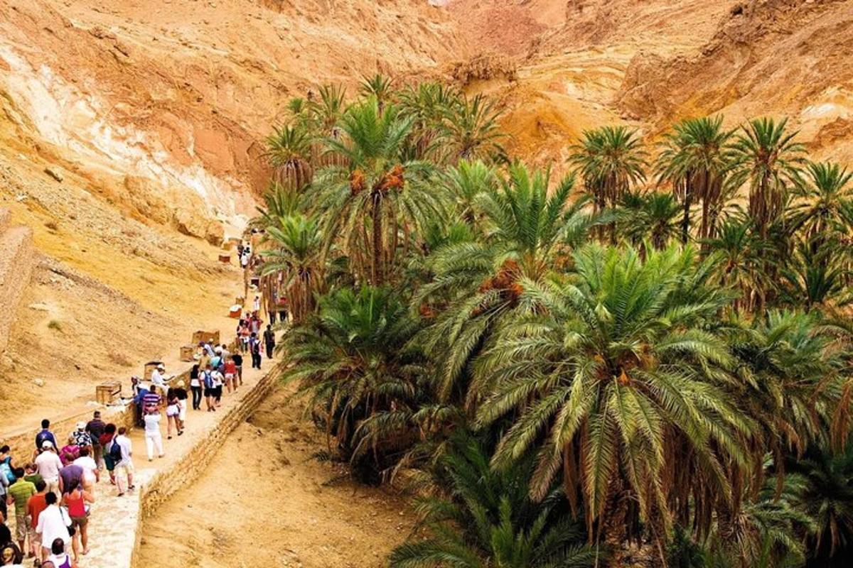 a group of people walking down a dirt road with palm trees
