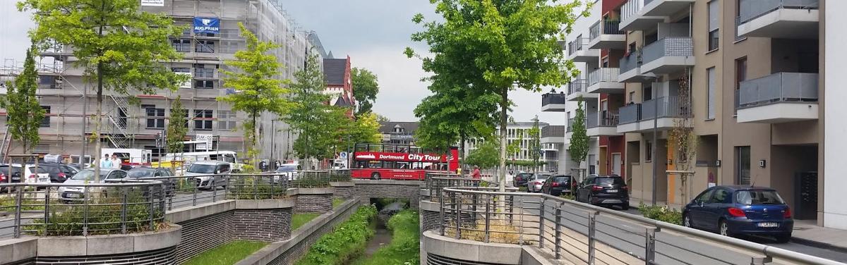 a city street with parked cars and a red bus