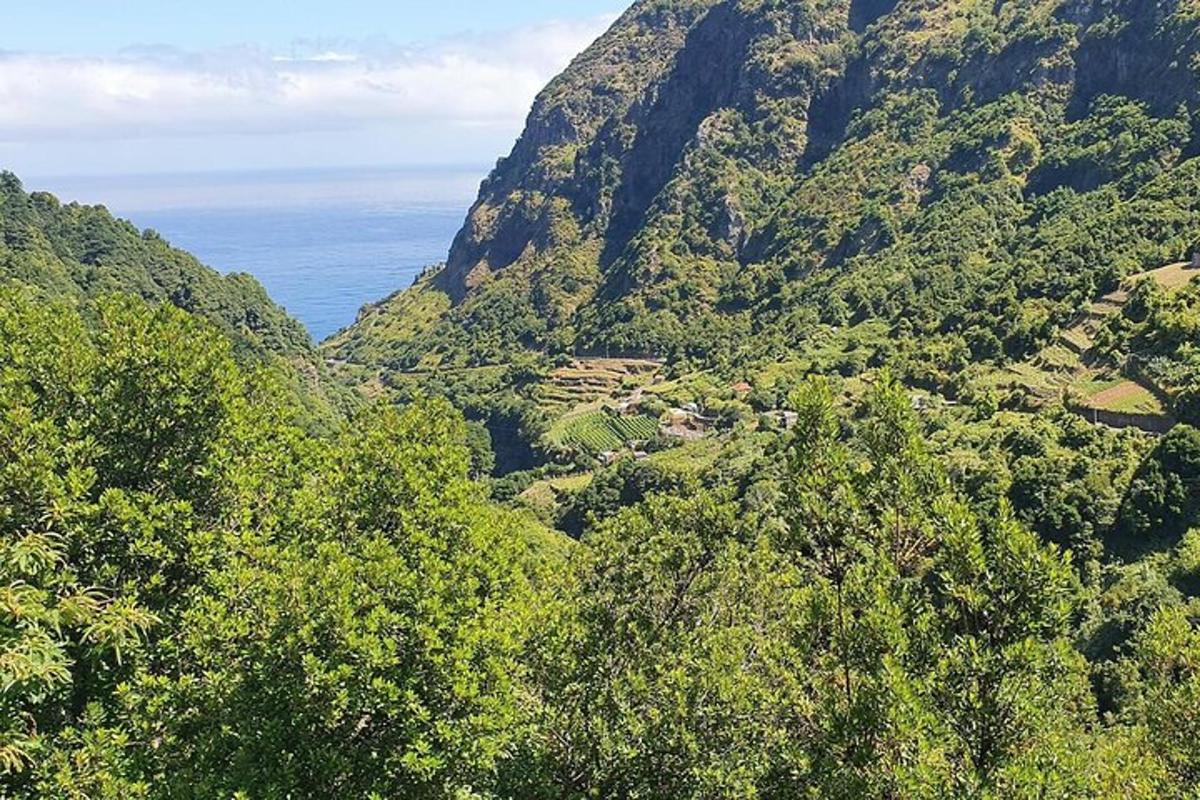 Una vista aérea de una montaña con árboles y el océano.