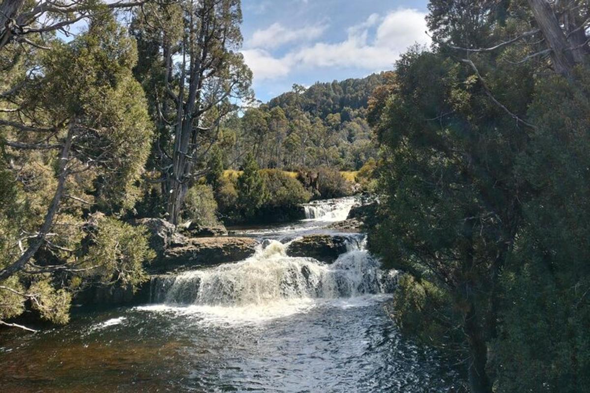 a waterfall in the middle of a river with trees