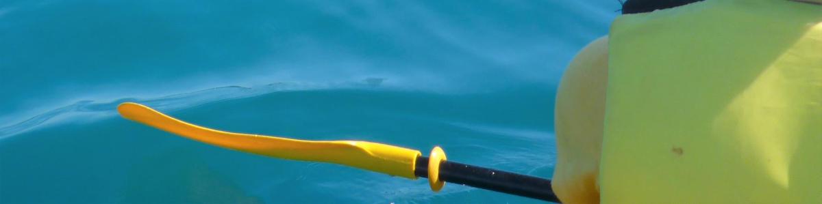 a close up of a penguin toy in the water