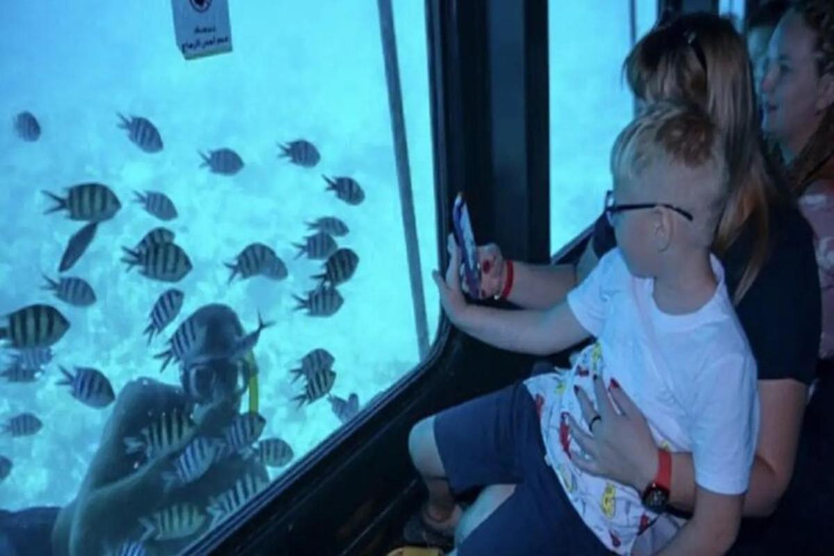 un bambino che guarda i pesci in un acquario