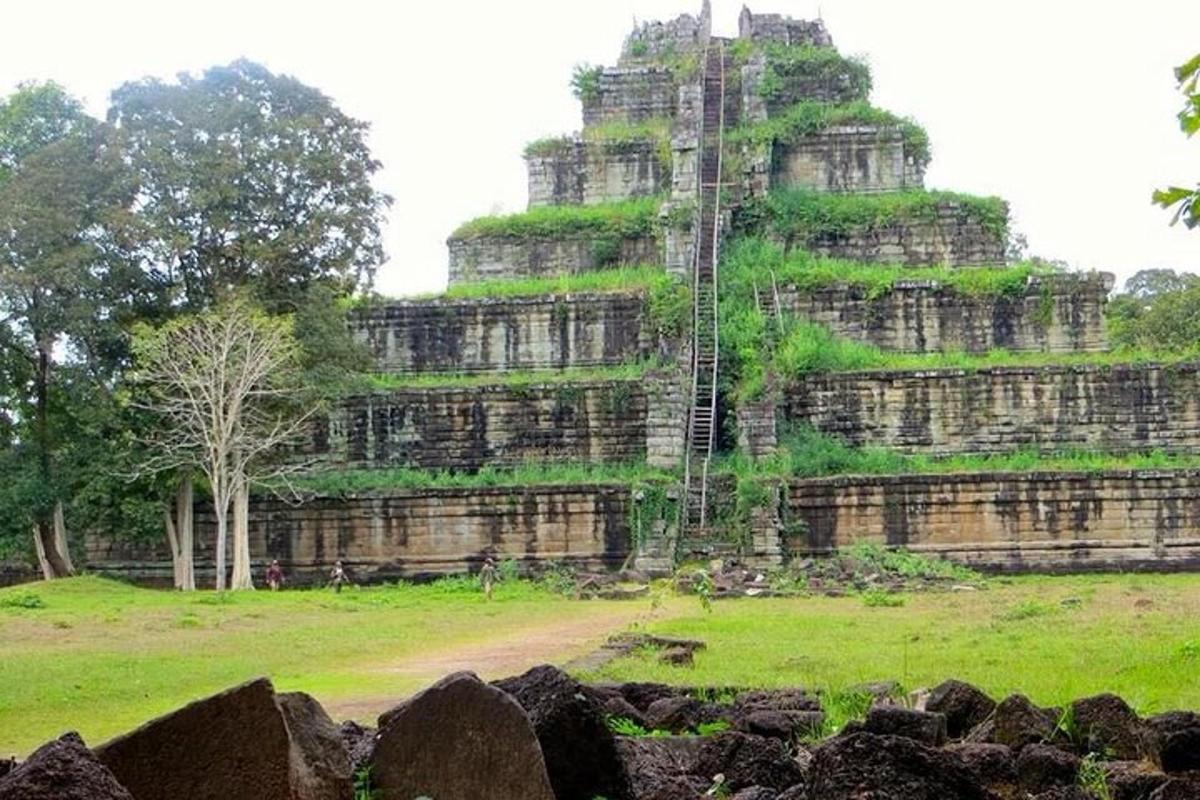 una vista di un grande edificio con vegetazione sopra