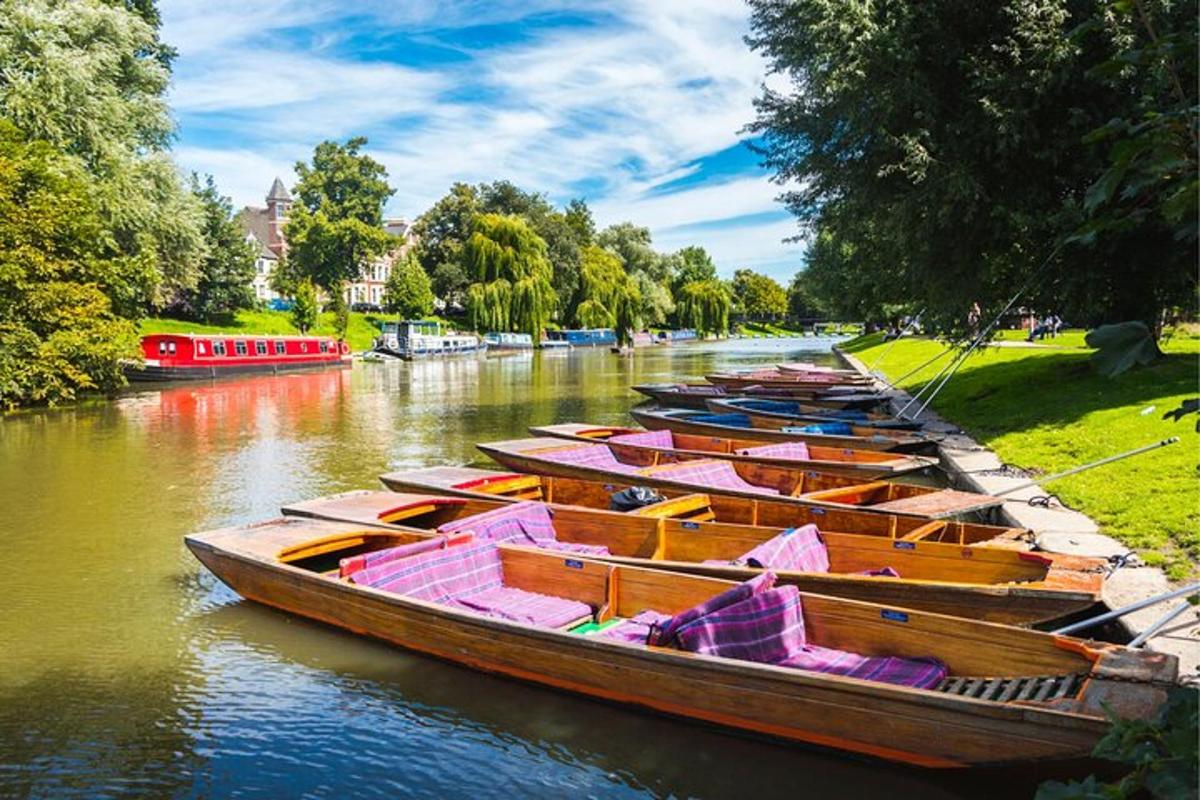a group of boats lined up on a river