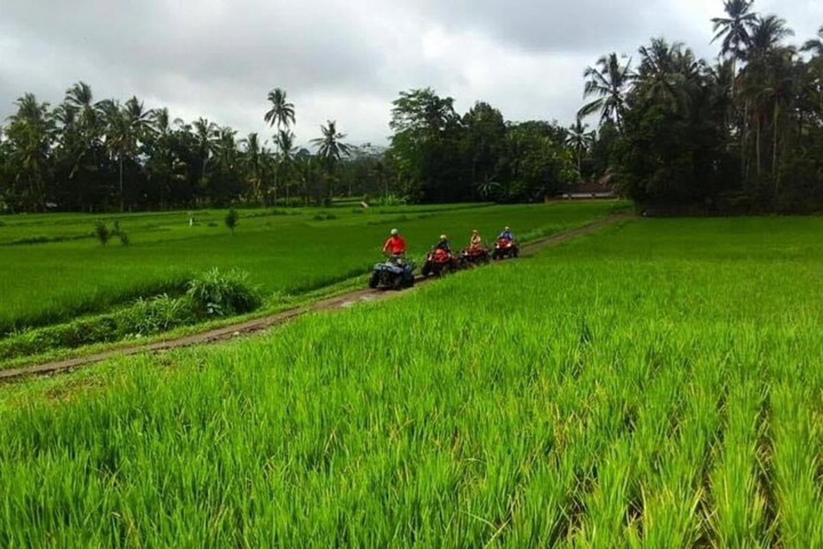 a group of people riding motorcycles through a field