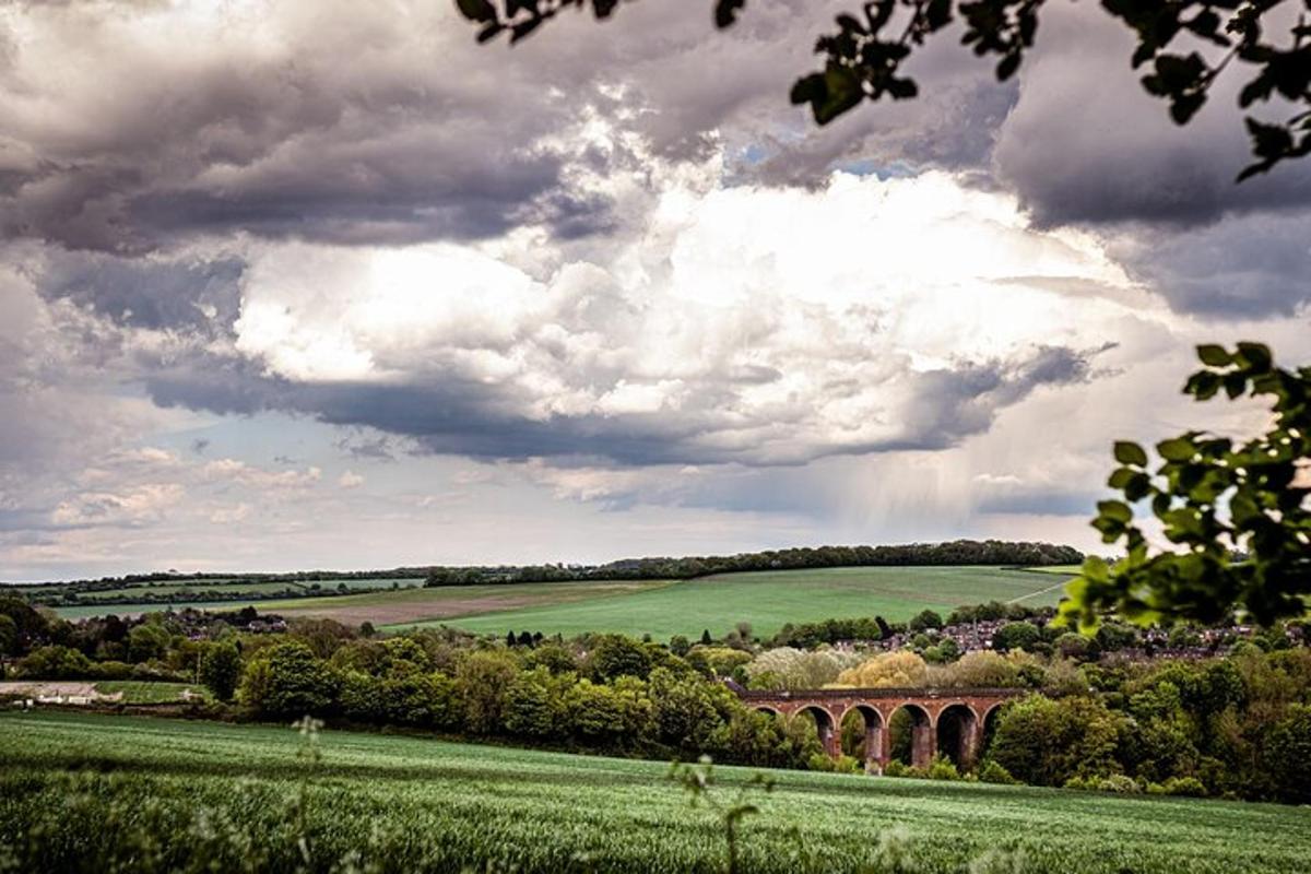 a bridge over a green field with a cloudy sky