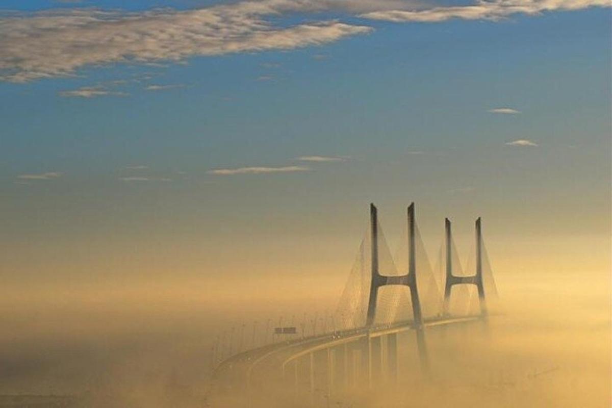 a bridge in the middle of a foggy field