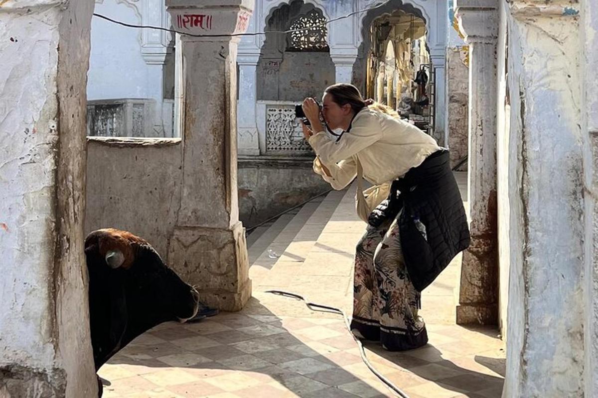 a woman taking a picture of a cow with a camera