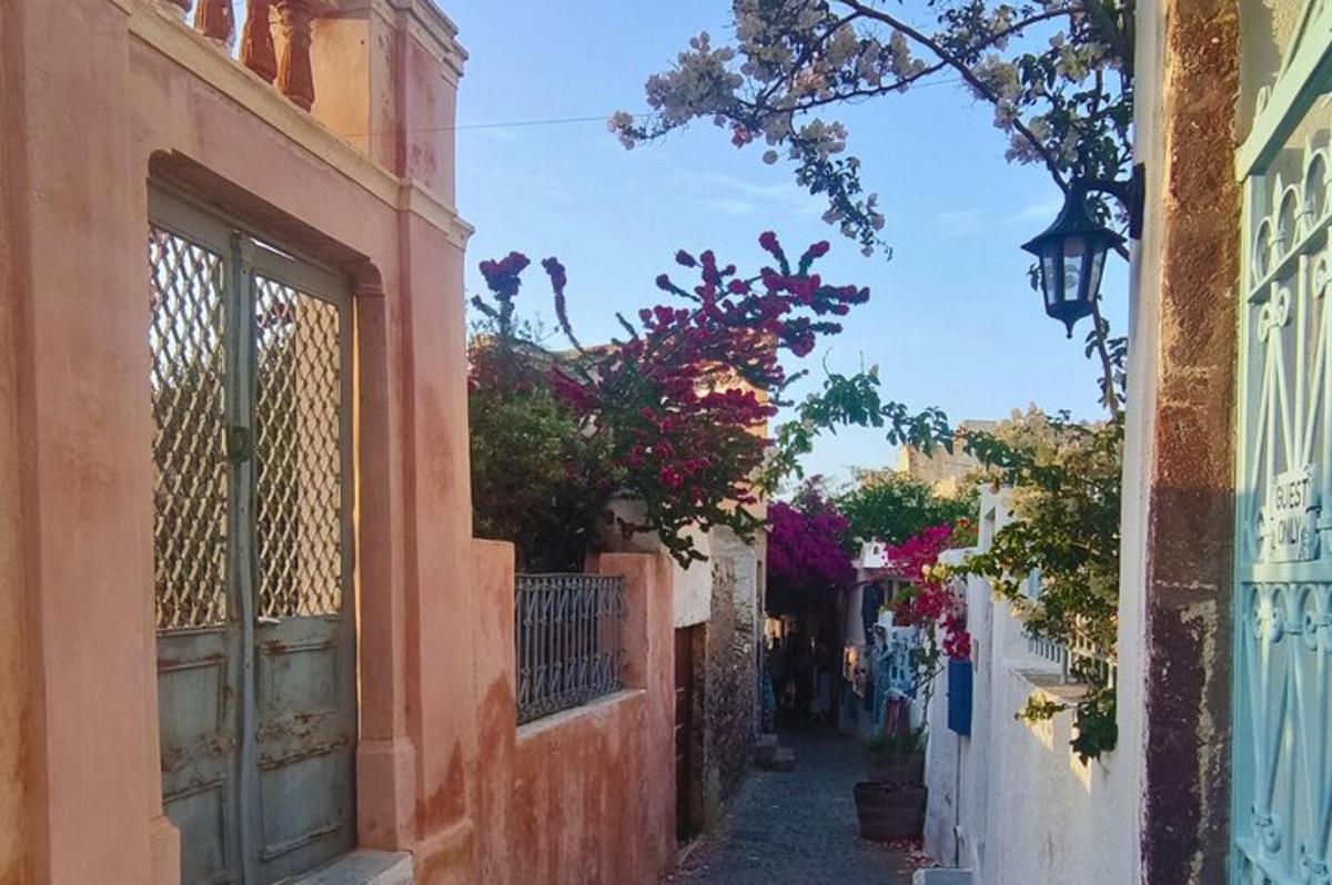 an alley with buildings and flowers and a door