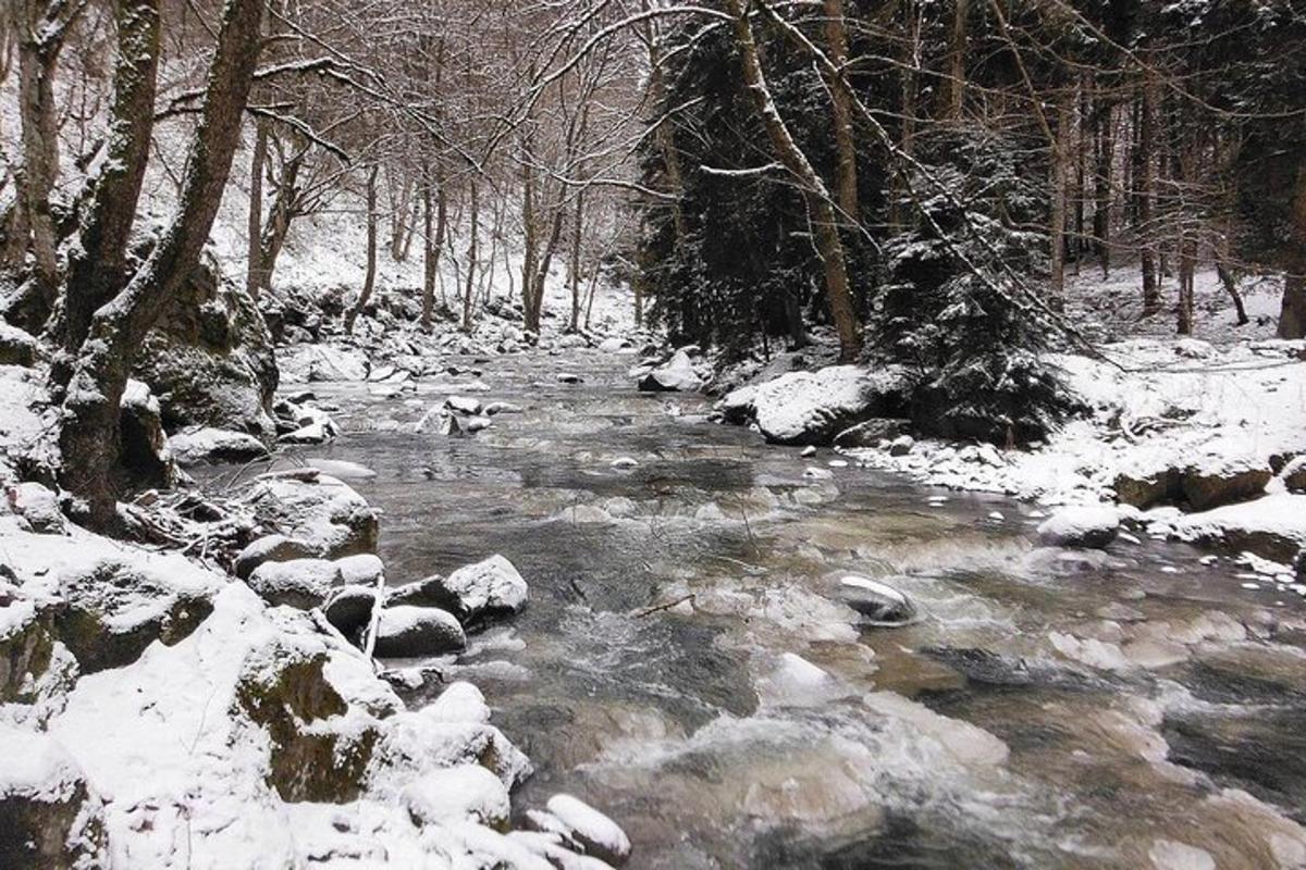sungai dengan salji dan batu di dalam hutan
