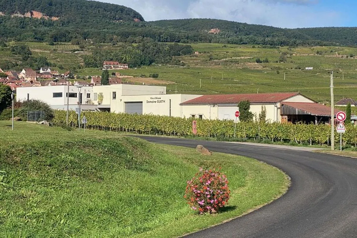 Visite de cave & dégustation de Vins d’Alsace bio au féminin – photo 4