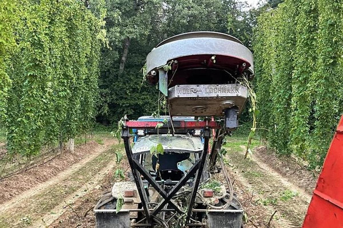 a tractor in the middle of a field of trees