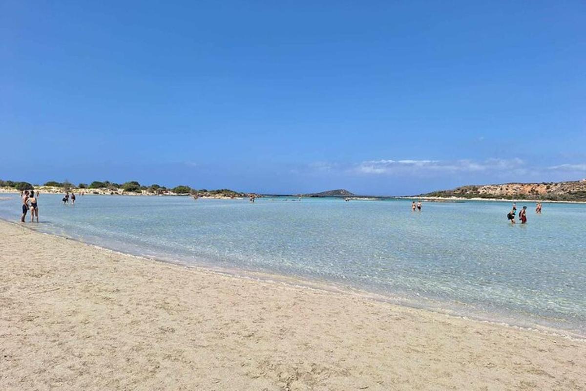 a group of people swimming in the water on a beach