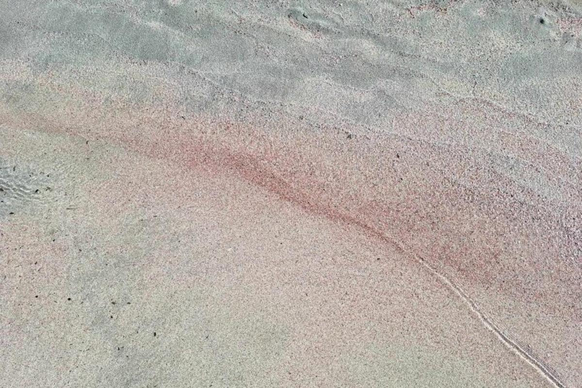 an aerial view of the sand on a beach