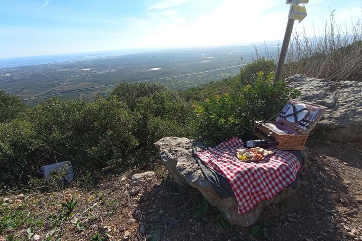 piknik miza na skali na gori