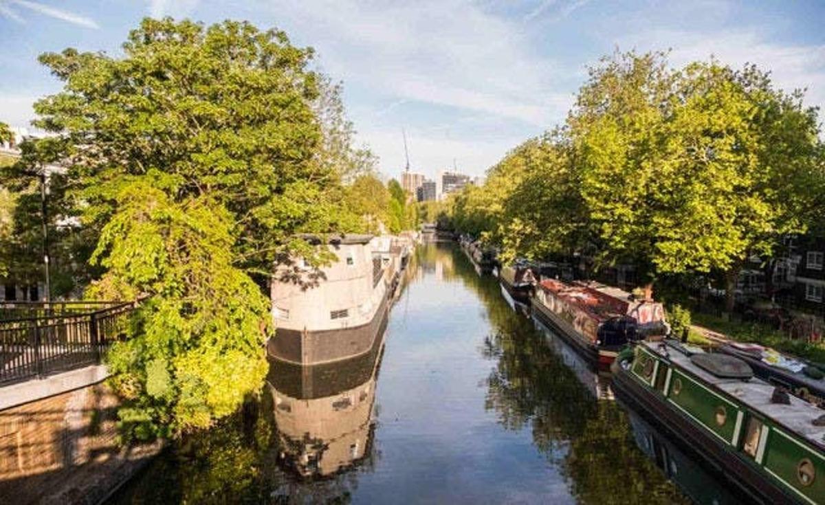 un riu amb barques i arbres al costat
