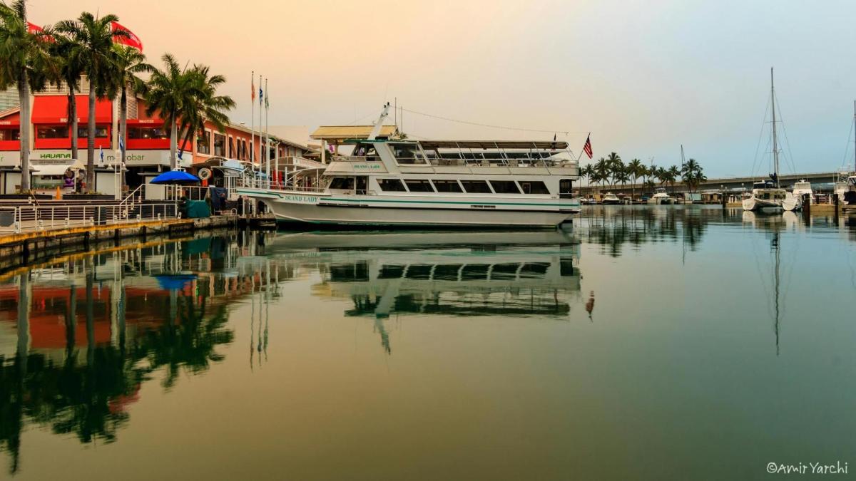 un vaixell està atracat en un port esportiu amb palmeres