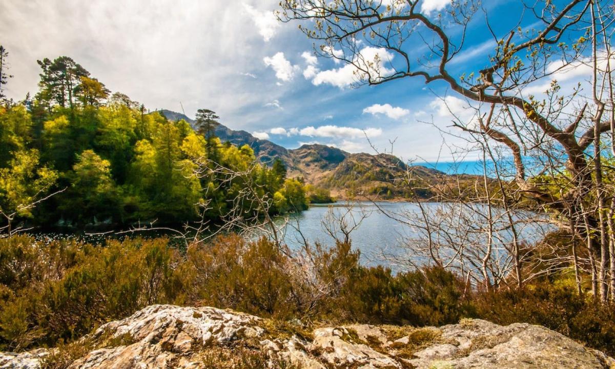 o vedere a unui lac cu munți în fundal