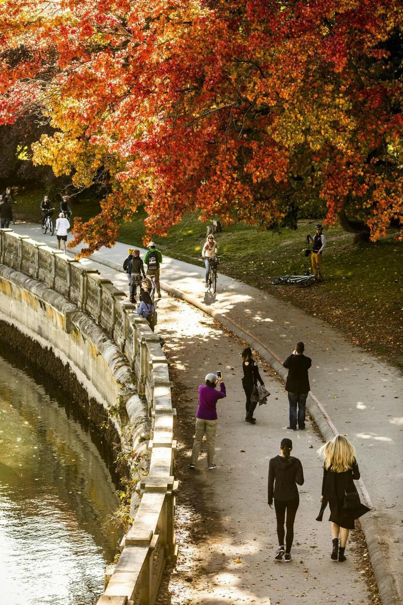a group of people walking on a path next to a bridge