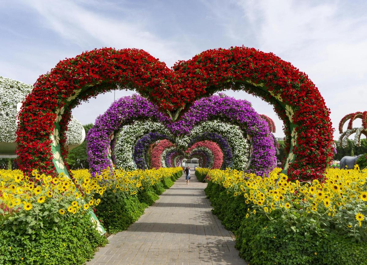 un jardin de fleurs en forme de cœur