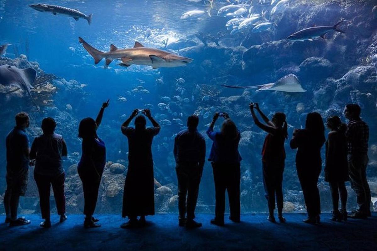 un grup de persones dretes davant d'un gran aquari
