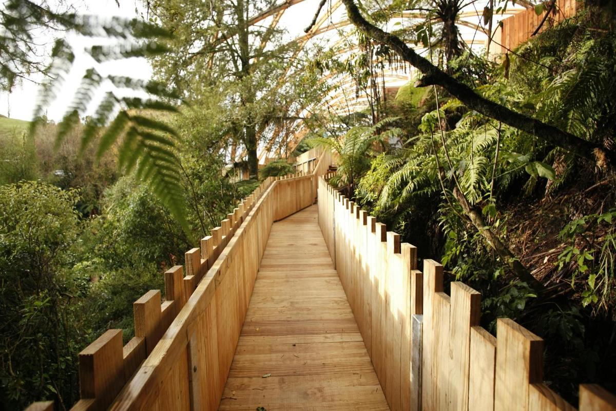 a wooden path through a garden with trees