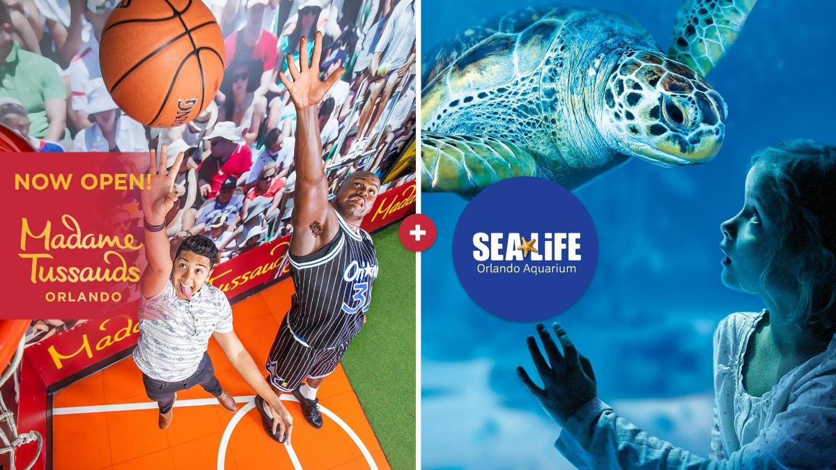 a collage of two books with a picture of a child and a basketball