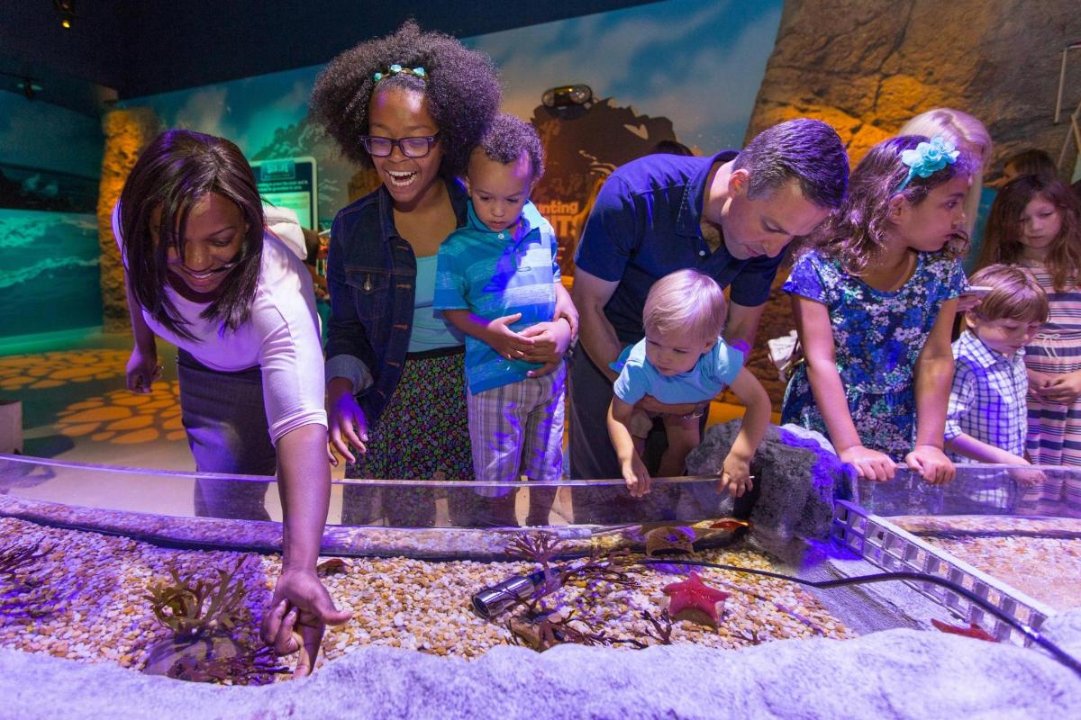 a group of people looking at a fish tank