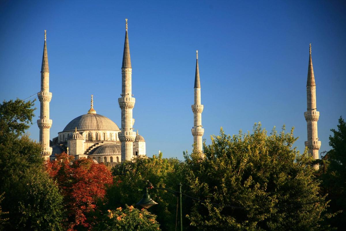 sebuah bangunan dengan tiga masjid dengan pokok di latar depan